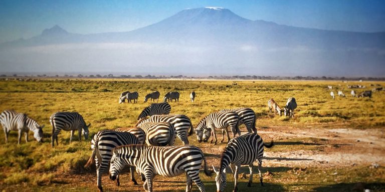 3 Days Amboseli/Kilimanjaro Safari from Nairobi with Dael Tours