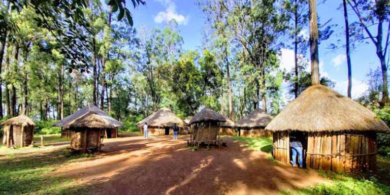1 Day Trip to Bomas of Kenya from Nairobi CBD: Unveiling the Rich Tapestry of Kenyan Culture